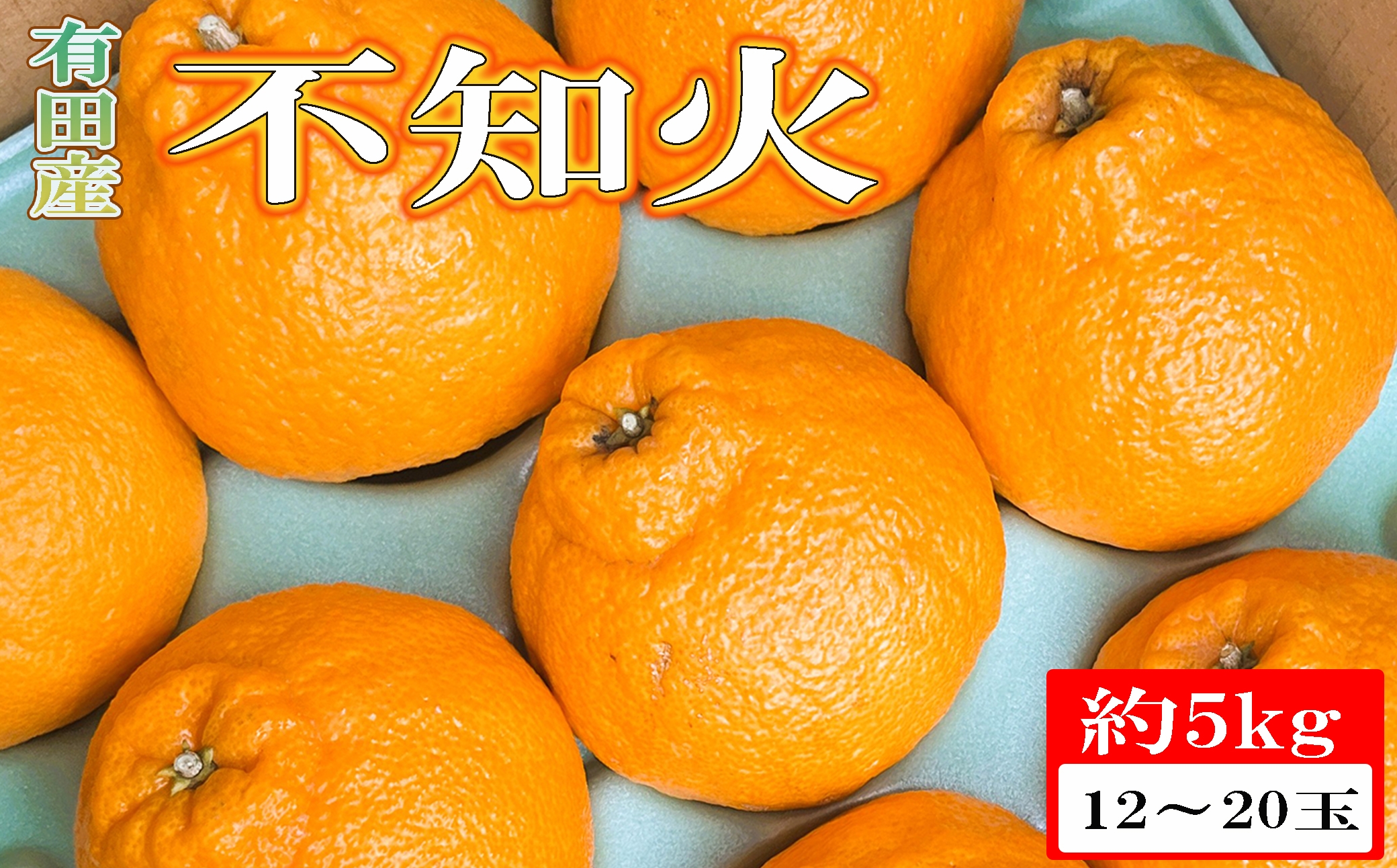 【濃厚】有田の不知火5kg（12～20玉）※2027年2月下旬～2027年3月下旬頃に順次発送予定【tec010-r-12】