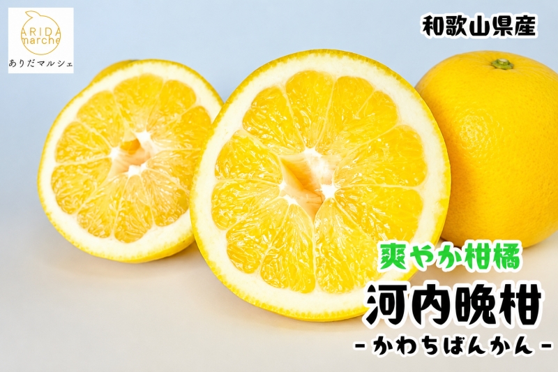 爽快 柑橘 有田 育ちの爽やか 河内晩柑 （ ご家庭用 わけあり ）3kg+200g(補償分) / 晩柑 宇和ゴールド ジューシーオレンジ 愛南ゴールド ナダオレンジ 天草晩柑 夏文旦 和歌山 ※北海道・沖縄・その他離島地域は発送不可 ※2026年4月上旬～５月下旬に順次発送【ard026-c-3)】