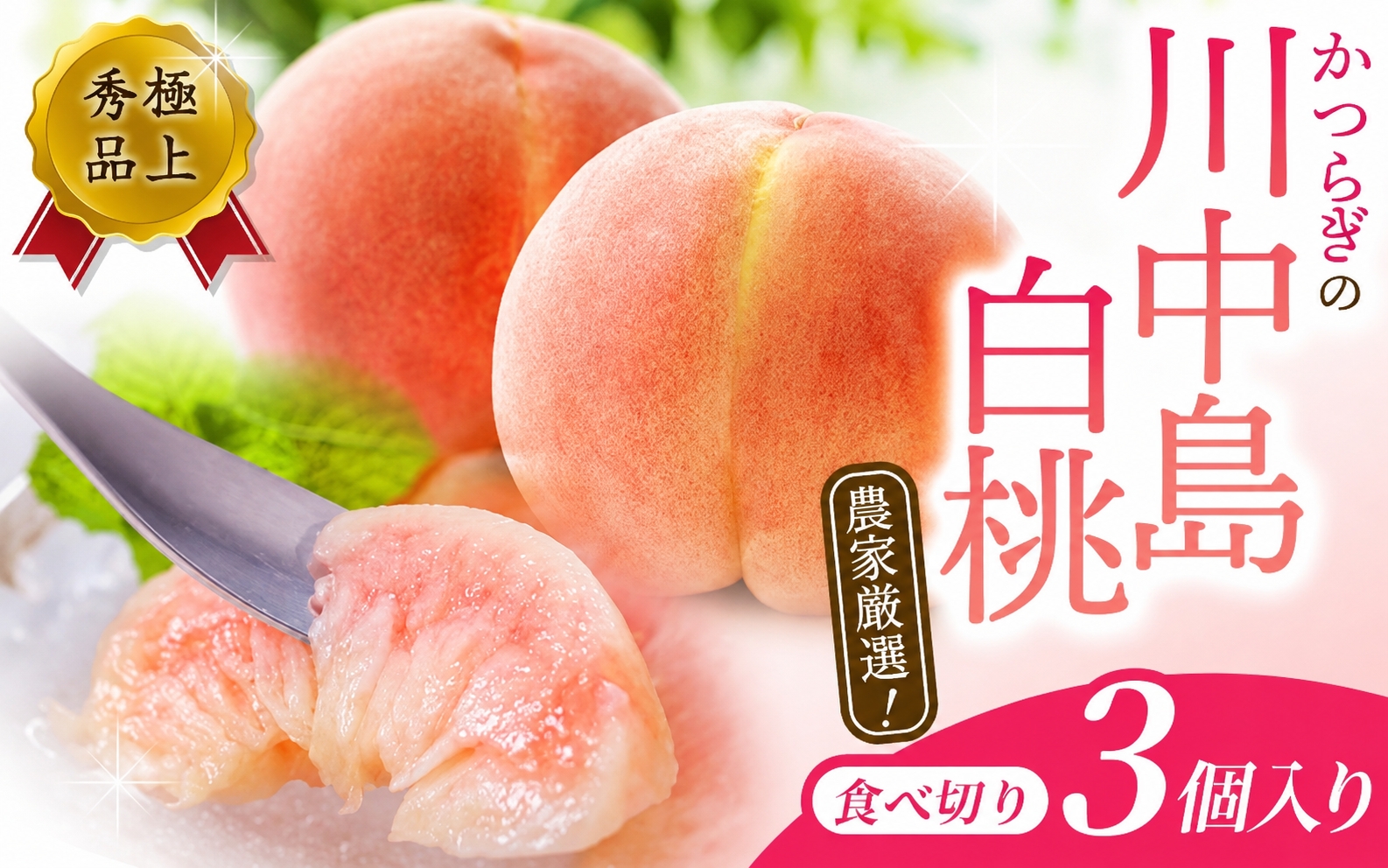 【秀品】川中島白桃 食べきりやすい3個入り / こだわり 農家厳選 先行予約 モモ もも フルーツ 果物 くだもの 食品 人気 おすすめ 送料無料 ※2027年7月末頃～8月末頃に順次発送予定（お届け日指定不可）  ※離島への配送不可【kgr501-kawa-ta3】