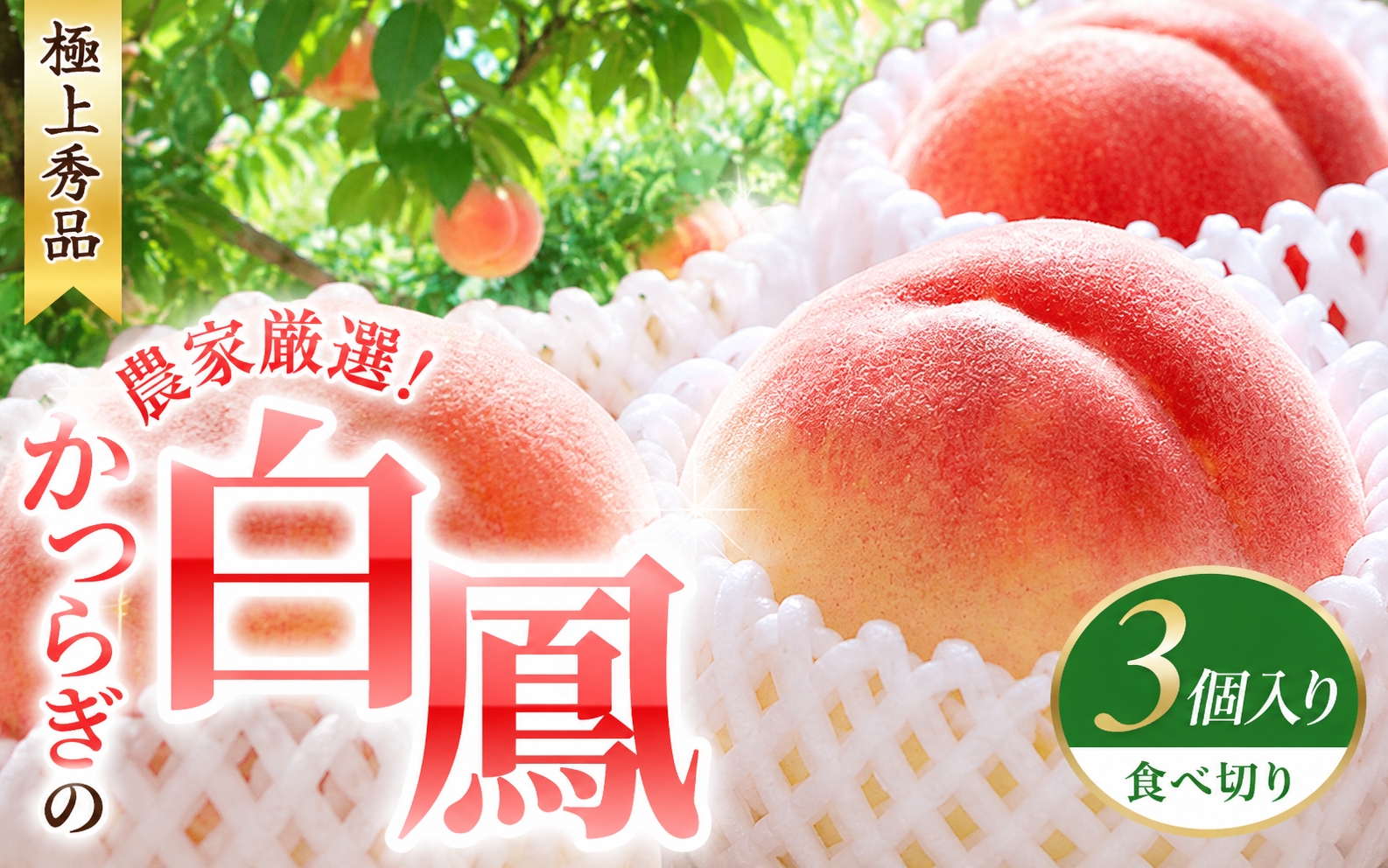 桃 【先行予約】 白鳳　桃の王様！食べきりやすい３個入り 【秀品】こだわり農家厳選 / 桃 モモ フルーツ 果物 くだもの 人気 産地直送 厳選 甘い 予約 もも フルーツ王国 ※2027年6月末頃～7月末頃に順次発送予定（お届け日指定不可） ※離島への配送不可 【kgr501-haku-ta3】