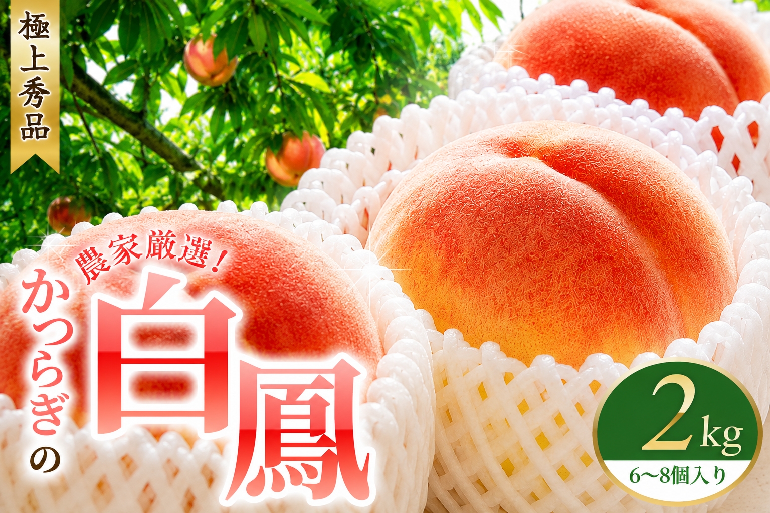 桃 【先行予約】 白鳳　桃の王様！2kg 6～8個 【秀品】こだわり農家厳選 / 桃 モモ フルーツ 果物 くだもの 人気 産地直送 厳選 甘い 予約 もも フルーツ王国 ※2027年6月末頃～7月末頃に順次発送予定（お届け日指定不可） ※離島への配送不可 【kgr501-haku-2】