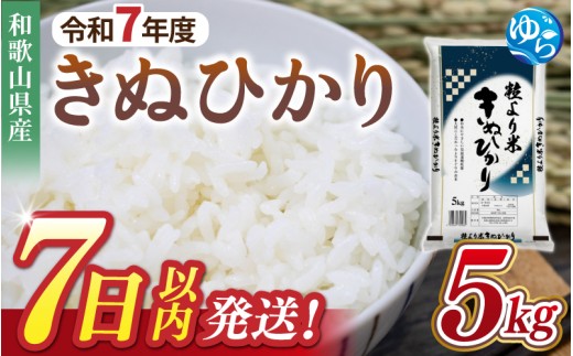 【7日以内発送】令和7年度産 きぬひかり 5kg ※お届け日指定不可※ / 白米 お米 キヌヒカリ 由良町 精米 和歌山 2024年度 ごはん ご飯 米 こめ 　【jahd400-kinu-5】