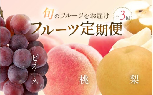 フルーツ 定期便 全3回 （桃・梨・ピオーネ ）/ 和歌山 旬 くだもの 甘い ぶどう もも なし ※北海道・沖縄・離島は配送不可【tec050-waka-3D】