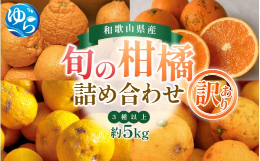 訳あり 旬の 柑橘 詰め合わせ（3種以上）5kg / みかん 蜜柑 フルーツ 果物 くだもの 和歌山 ※2027年2月上旬～2027年3月下旬に順次発送 ※北海道・沖縄・離島配送不可 【eiw049-c-5】