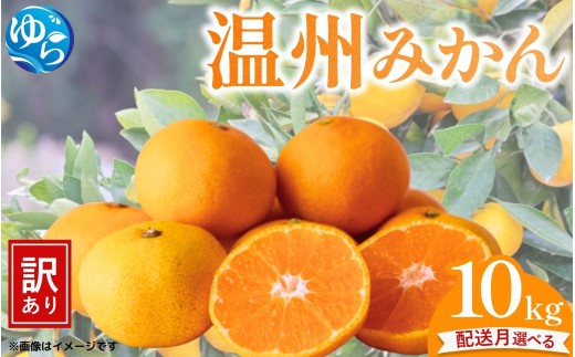＼選べる配送月／ （訳あり）温州みかん 10kg 【11月出荷 or 12月出荷】/ みかん ミカン 和歌山県 柑橘  甘い 蜜柑 フルーツ 果物 くだもの 食品  産地直送 由良町 ご家庭用 温州 温州ミカン 【kwgc004-cho】