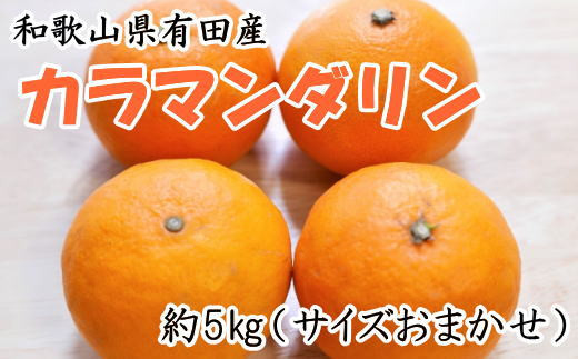 【春みかん】 和歌山 有田産 カラマンダリン 5kg (サイズおまかせ) ※2027月4月上旬～5月中旬頃に順次発送予定【tec015-r-5】