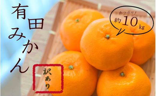 紀州 有田 みかん 10kg 訳あり サイズ混合 / 温州みかん 有田みかん 甘い キズ 和歌山 柑橘 ※2026年11月下旬～2027年1月中旬頃順次発送予定 ※北海道・沖縄・離島への配送不可【sml004-c-10A】 