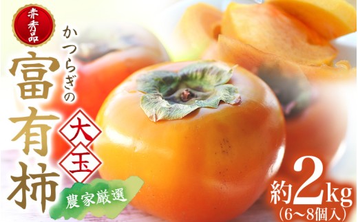 【2026年発送】富有柿 赤秀品 大玉 6個～8個入 こだわり農家厳選【2026年10月末から11月末頃に順次発送予定】 / 柿 フルーツ 果物 かき 和歌山 かつらぎ 農家直送 贈答 【kgr043】
