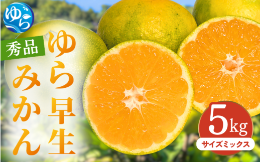ゆら早生みかん 秀品 サイズミックス 5kg 贈答用※2026年10月上旬～11月中旬頃に順次発送予定 / ゆら早生 柑橘 極早生 フルーツ 果物 くだもの 食品 人気 おすすめ 送料無料 由良町 【ksmt003-r-mix-5】