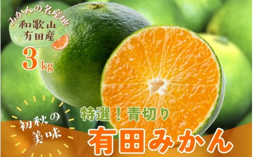 【先行予約】 初秋の美味 農家直送 特選 ! 青切り 有田みかん 3kg＋200g(痛み補償分) ※2026年9月中旬～10月上旬に順次発送 ※北海道・沖縄・離島配送不可 【ard001-p-3B】