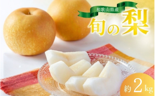 【先行予約受付】和歌山県産の美味しい 梨 約2kg （6～8玉入り） / なし 果物 フルーツ 和歌山県 ※8月中旬～9月中旬頃順次発送 ※離島への配送不可【mat503-r-2】