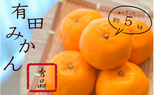 紀州 有田 みかん 秀品 5kg サイズおまかせ(Ｌ・М・Ｓ)  / 温州みかん 有田みかん 甘い 高級 和歌山 柑橘 ※2026年11月下旬～2027年1月中旬頃に順次発送予定【sml004-r-5B】 