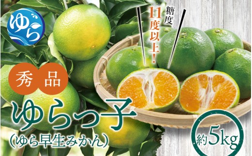【糖度11度以上!】ゆら早生みかん「ゆらっ子」5kg ※2026年10月上旬～10月下旬頃に順次発送予定(お届け日指定不可) / 極早生 早生 由良町 和歌山県 柑橘 密柑 完熟 甘い ミカン 光センサー 柑橘 果実 くだもの フルーツ ブ JA認定ブランド品 糖度11度  先行予約【jahd003-r-5】