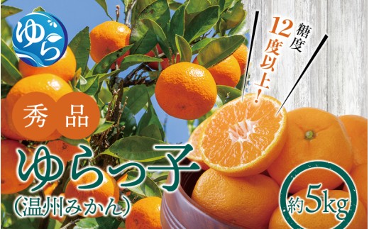 【糖度12度以上！】温州みかん「ゆらっ子」5kg ※2026年12月上旬～12月下旬頃に順次発送予定(お届け日指定不可) / 温州 密柑 JA 糖度 甘い 光センサー ゆらみかん 由良町 ミカン ブランド認定 柑橘 期間限定 和歌山県産【jahd004-r-5】