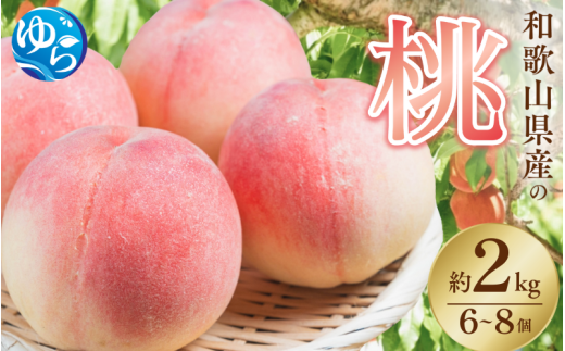 【先行予約】和歌山県産の 桃 6～8個(2kg) / もも モモ 甘い フルーツ 果物 くだもの 厳選 ※2026年7月上旬～8月上旬発送 ※北海道・沖縄・離島配送不可 【eiw501-momo-2】