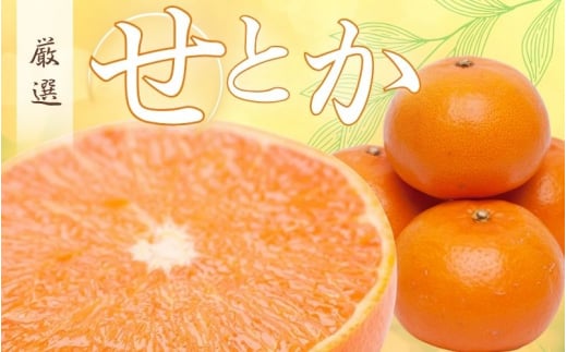 厳選 せとか 7.5kg+250g 傷み補償分