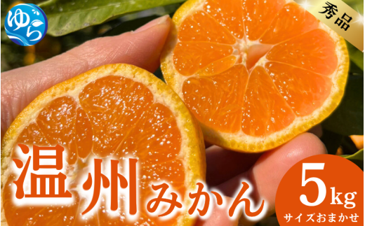 秀品 温州みかん 5kg サイズおまかせ（S～L） / 蜜柑 温州ミカン 柑橘 産地直送 由良町 和歌山 ※11月下旬～12月下旬頃に順次発送予定【kjen004-r-5】