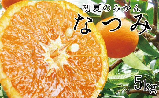 初夏の みかん なつみ 5kg / 柑橘 甘い 果物 和歌山 ※2027年4月中旬頃〜4月下旬頃発送予定 【uot501-2】
