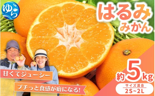 はるみ みかん 5kg S～4Lサイズ混合 / くだもの 甘い 柑橘 果物 和歌山 ※2027年2月上旬～2月中旬頃に順次発送予定【nktn013-r-5】