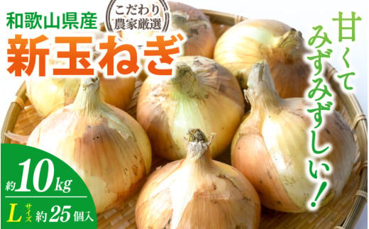 和歌山県産新玉ねぎ約10kg　Lサイズ 約25個入り　こだわり農家厳選 | 人気 おすすめ たまねぎ 玉ねぎ 玉葱 タマネギ オニオン スープ サラダ 国産 野菜 新鮮 ビッグサイズ 大きい BBQ ※2027年4月末頃～6月中旬に発送予定【kgr033】