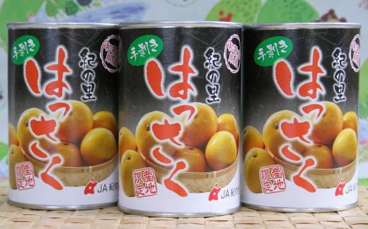 和歌山産 手剥き 八朔 缶詰 450g×8缶入り【tec107-450-8A】