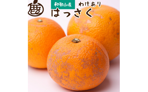 家庭用はっさく5kg+250g（傷み補償分）八朔みかん ハッサク 訳あり わけあり ※2027年1月〜4月下旬ごろに順次発送予定 ※北海道・沖縄・離島への配送不可【ikd021-c-5】
