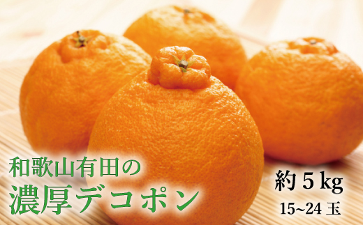 和歌山有田の濃厚 デコポン 15～24玉(約5kg) / 和歌山 ミカン オレンジ 柑橘 フルーツ 果物 ブランド でこぽん 旬 ※2025年1月中旬～3月下旬頃に順次発送予定  【ard010-noko-r5A】