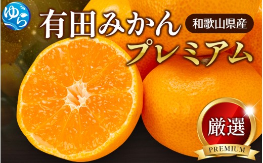 鹿蔵 プレミアム 有田 みかん 2.5kg+250g（傷み補償分）(完熟) / 温州みかん 有田みかん 光センサー 選別 甘い 和歌山 柑橘 ※2026年10月上旬～11月中旬頃に順次発送予定 ※北海道・沖縄・離島への配送不可 【ikd004-prem-2d5A】
