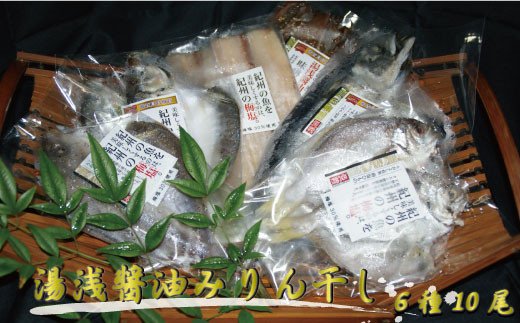 梅塩干物と湯浅醤油みりん干し6品種10尾入りの詰め合わせ【和歌山の近海でとれた新鮮魚】【TM65】【tec248-10】
