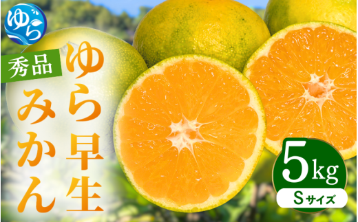 ゆら早生みかん 秀品 Sサイズ 5kg 贈答用※2026年10月上旬～11月中旬頃に順次発送予定 / ゆら早生 柑橘 極早生 フルーツ 果物 くだもの 食品 人気 おすすめ 送料無料 由良町 【ksmt003-r-s-5】