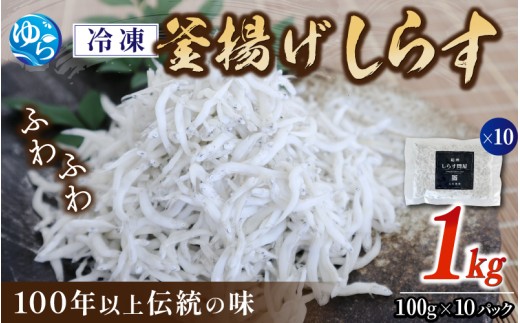 冷凍釜揚げしらす1kg（100g×10） / 小分け 釜揚 シラス しらす丼 国産 冷蔵 個包装 魚 お魚 さかな 食品 和歌山県 由良町【dig207-f-1000】