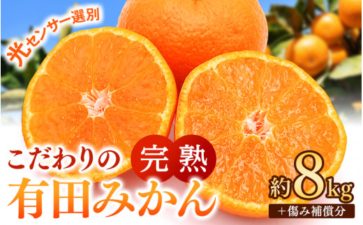 ご家庭用 こだわりの 有田 みかん 8kg＋150g(傷み補償分) 【12月発送予定】 / 温州みかん 光センサー選別 柑橘 甘い 果物 和歌山 ※北海道・沖縄・離島配送不可 【nuk004-c-8-decH】