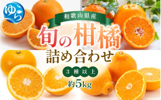 旬の 柑橘 詰め合わせ（3種以上）5kg / みかん 蜜柑 フルーツ 果物 くだもの 和歌山 ※2027年2月上旬～2027年3月下旬に順次発送 ※北海道・沖縄・離島配送不可 【eiw049-r-5】