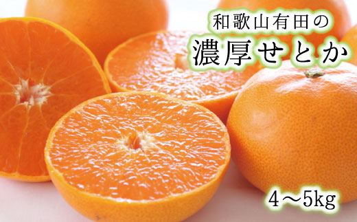 【赤秀】 和歌山 有田の濃厚 せとか 4～5kg / くだもの フルーツ 果実 果物 有田 みかん 晩柑 和歌山 ※2027年2月中旬～3月中旬に順次発送【ard014-noko-p-4-5】