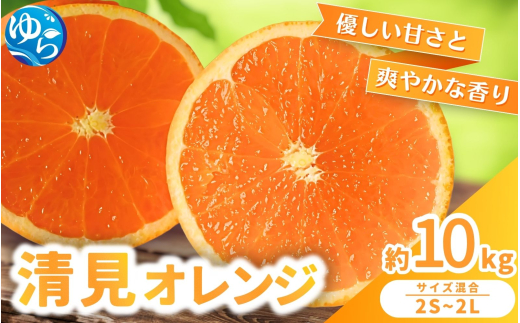 清見 オレンジ 10kg / くだもの 甘い きよみ 柑橘 果物 和歌山 ※2027年3月上旬～3月中旬頃に順次発送 【nktn011-r-10】