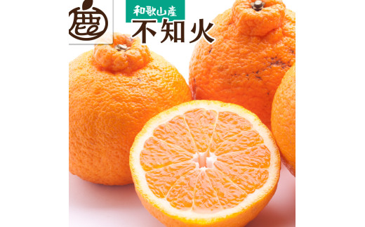 【ふるさと納税】 不知火 厳選 ※2027年2月上旬～4月上旬ごろに順次発送予定 / みかん しらぬい 光センサー 選別 デコポン 柑橘 晩柑 和歌山 甘い 8000円 / 2.5kg ※北海道・沖縄・離島への配送不可【ikd010-p-2d5C】