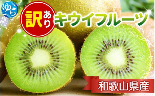 家庭用 キウイ フルーツ1kg+250g（傷み補償分） / キウイフルーツ 訳あり 和歌山 ※2026年11月中旬～2027年4月下旬に順次発送 ※北海道・沖縄・離島への配送不可 【ikd505-c-1A】