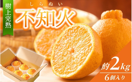 【先行予約】【数量わずか】樹上完熟しらぬい（不知火） 約2kg(6個) 秀品 / 和歌山 みかん しらぬい 不知火 フルーツ 柑橘 蜜柑 果物 くだもの ※2027年2月下旬頃～2027年3月下旬頃に順次発送予定（お届け日指定不可）【kgr005】