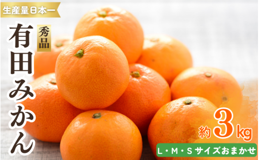 紀州 有田 みかん 秀品 3kg サイズおまかせ  / 温州みかん 有田みかん 甘い 高級 和歌山 柑橘 ※2026年11月下旬～2027年1月中旬頃順次発送予定【sml004-r-3A】 ※2026年11月下旬～2027年1月中旬頃順次発送予定