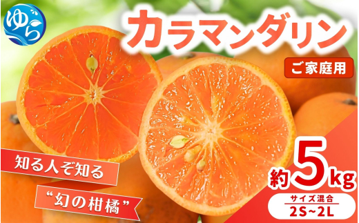 ≪家庭用≫カラマンダリン 5kg / くだもの  果実  柑橘 果物 フルーツ 国産 和歌山県 由良町 ※2027年3月下旬～4月上旬頃に順次発送予定【nktn015-c-5】