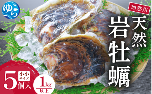 天然岩牡蠣（加熱食用）小小サイズ5個入（1kg以上）　【skmn001】