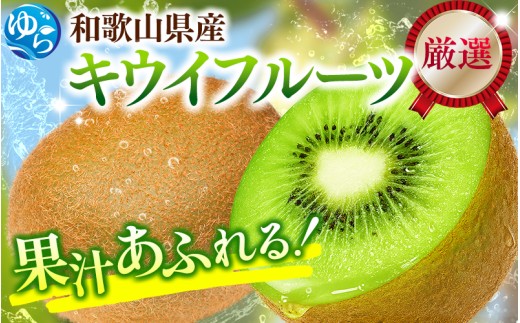 厳選 キウイ フルーツ5kg+250g（傷み補償分） / キウイフルーツ 高級 和歌山 ※2026年11月中旬より2027年4月下旬頃順次発送予定 ※北海道・沖縄・離島への配送不可 【ikd505-p-5C】