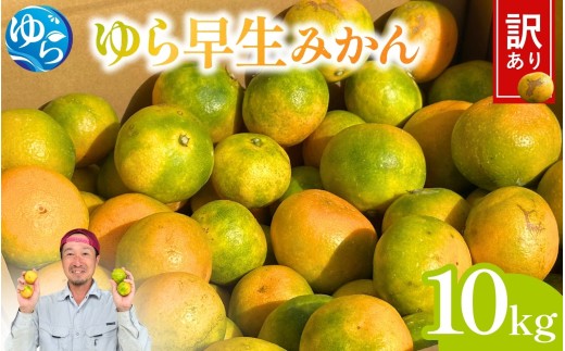 ＼訳あり／ ゆら早生みかん 10kg / みかん ミカン 和歌山県 柑橘 早生 甘い 蜜柑 フルーツ 果物 くだもの 食品  産地直送 由良町 ご家庭用 ゆら早生 早生みかん ※2026年10月上旬～10月下旬頃に順次発送予定【kwgc003-c-10】