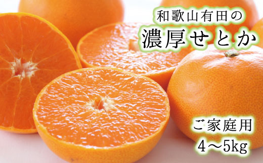 和歌山 有田 の濃厚 せとか (ご家庭用) 4～5kg / くだもの フルーツ 果実 果物 有田 みかん 晩柑 和歌山 ※2027年2月中旬～3月中旬に順次発送 【ard014-noko-c-4-5】
