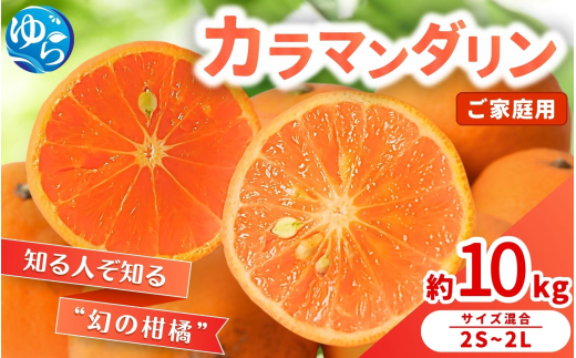 ≪家庭用≫カラマンダリン 10kg / くだもの  果実  柑橘 果物 フルーツ 国産 和歌山県 由良町 ※2027年3月下旬～4月上旬頃に順次発送【nktn015-c-10】
