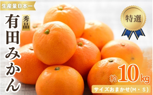 特選 紀州 有田 みかん 10kg サイズおまかせ(М・Ｓ)  ※2026年12月上旬～下旬頃発送予定（お届け日指定不可）/ 温州みかん 有田みかん 甘い 高級 和歌山 柑橘【sml004-p-10】