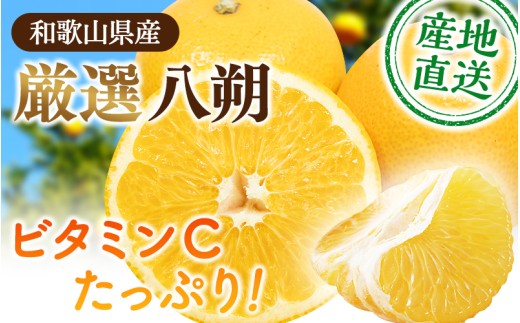 厳選はっさく5kg+250g（傷み補償分）/ 晩柑 柑橘 フルーツ 新鮮 苦味 コク 農家直送 ジューシー みかん 和歌山 果汁   八朔みかん ハッサク 密柑 くだもの ※2027年1月〜4月下旬ごろに順次発送予定 ※北海道・沖縄・離島への配送不可【ikd021-p-5C】