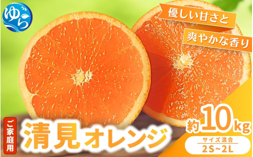 ≪家庭用≫ 清見オレンジ 10kg / くだもの  果実  柑橘 果物 フルーツ 国産 和歌山県 由良町 清見 和歌山 甘い ※2027年3月上旬～3月中旬頃に順次発送 【nktn011-c-10】