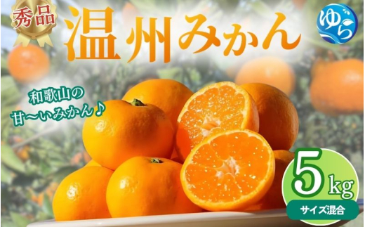 秀品 温州みかん 5kg / みかん ミカン 和歌山県 柑橘  甘い 蜜柑 フルーツ 果物 くだもの 食品  産地直送 由良町  温州 みかん ※ 2026年11月中旬～1月上旬頃に順次発送予定【myvi004-p-5】