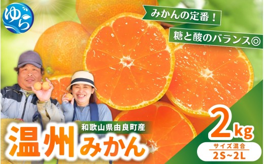 温州みかん 2kg 2S～2Lサイズ混合 11月発送 / 温州 ミカン 農家直送　完熟 密柑 くだもの  果実  柑橘 果物 フルーツ 和歌山県 由良町 人気 おすすめ 産地直送 ※2026年11月中旬頃～11月下旬頃に順次発送予定【nktn004-r-2-nov】
